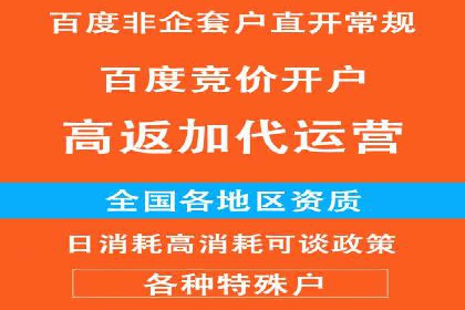 百度竞价策略：实战案例分析